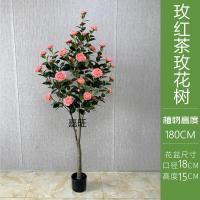 XU0612679